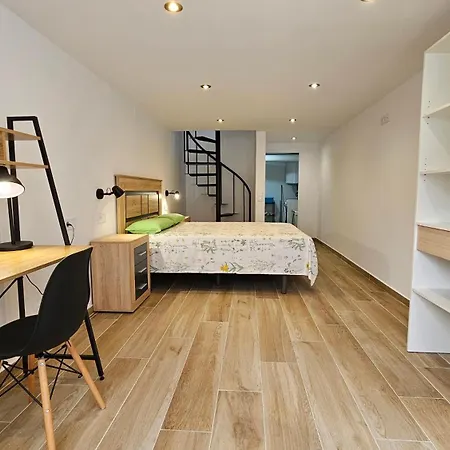 Appartement Modern Duplex With Bbq